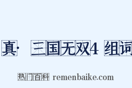 真·三国无双4组词是什么意思的图片